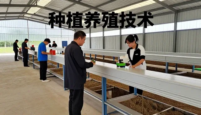 有机种植技术包提升实验室环境使用效率